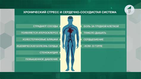 Связь между стрессом и повышением давления