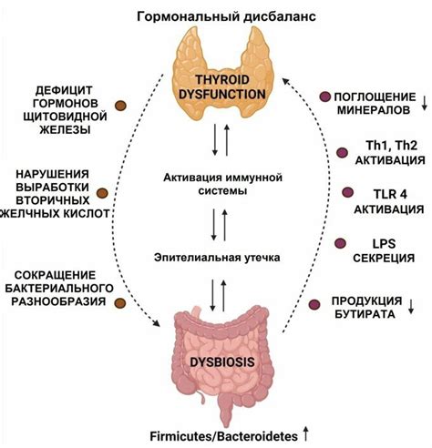 Связь между щитовидной железой и вестибулярной системой