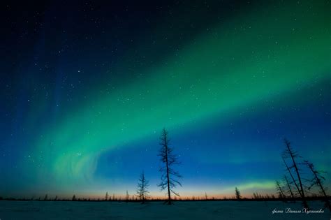 Северное сияние: ожидается ли в Новом Уренгое?