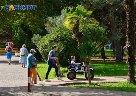 Сезонное размещение в Адлере: плюсы и минусы