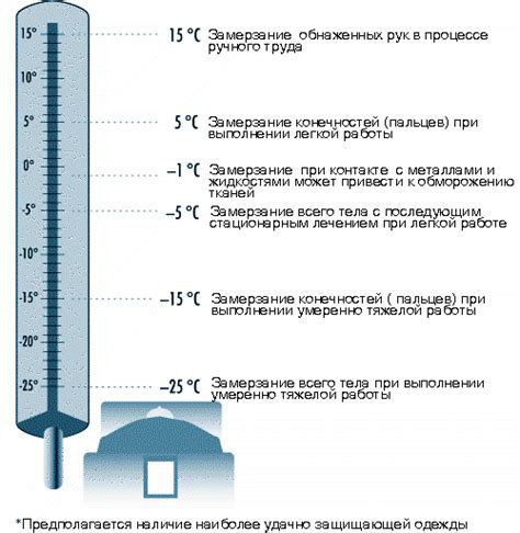 Секрет 5: Длительное тушение при низкой температуре