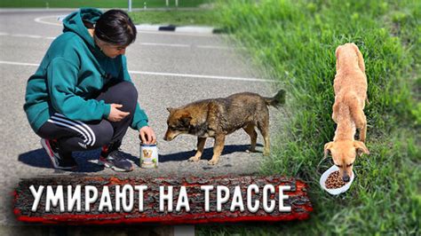 Сеткомет в игре Рафт