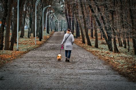 Сжигается ли жир во время ходьбы: роль ходьбы в процессе сжигания жира