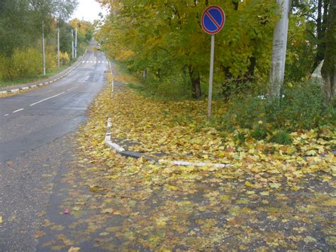 Сжигание листвы в городе: разрешено ли?