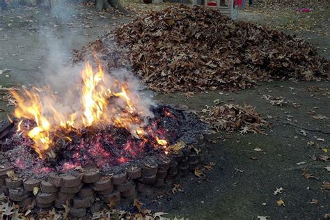 Сжигание мусора: возможно ли это в саду и на даче?