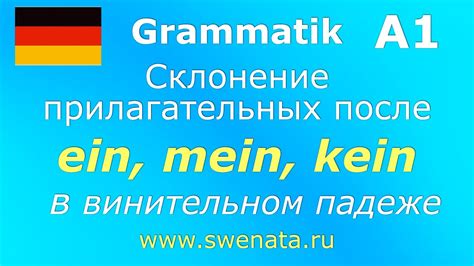 Склонение слова истец в винительном падеже