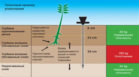 Снижение плотности почвы