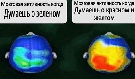 Сны и мозговая активность