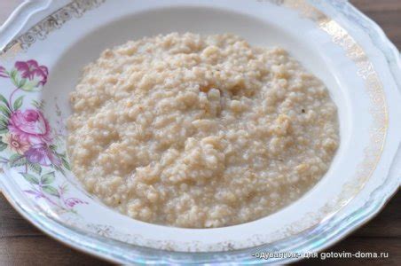 Собакам можно ли давать геркулесовую кашу?