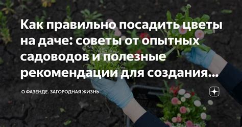 Советы и рекомендации от опытных экспертов в области оформления договоров