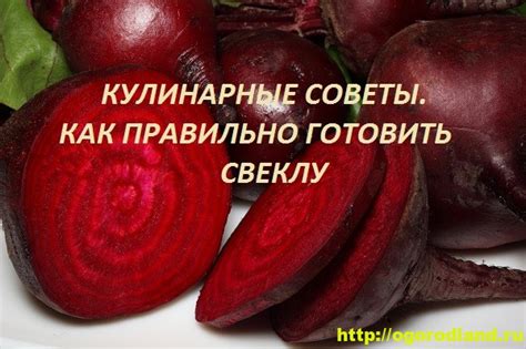 Советы и рекомендации по приготовлению свеклы