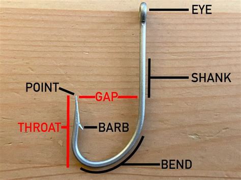 Советы по выбору крючка и лески для крепления