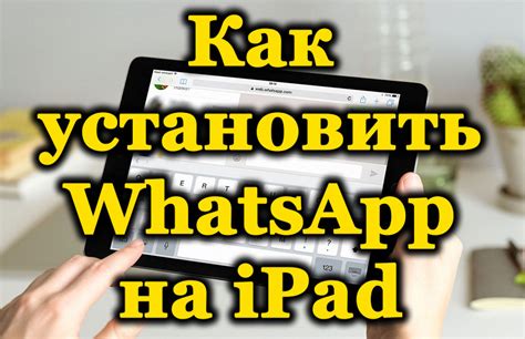 Советы по установке и использованию WhatsApp на iPad