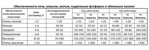 Совместимость требований к почве и уходу