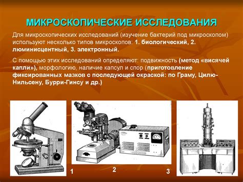 Современные исследования структуры бактерий