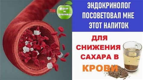 Содовые напитки и их влияние на сахар в крови