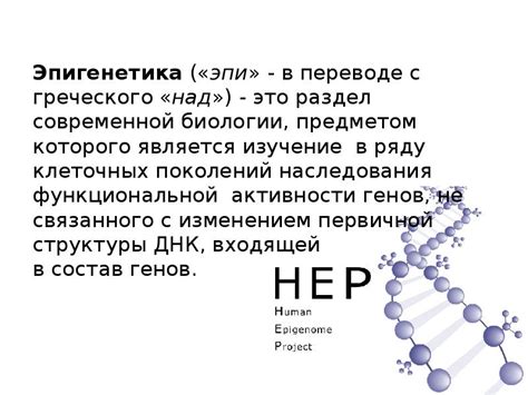 Создание ДНК без участия отцовского генетического материала