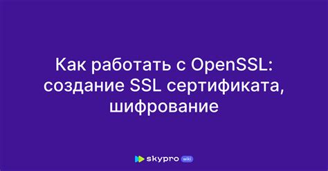 Создание SSL сертификата