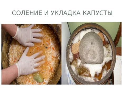 Соление и массажирование капусты