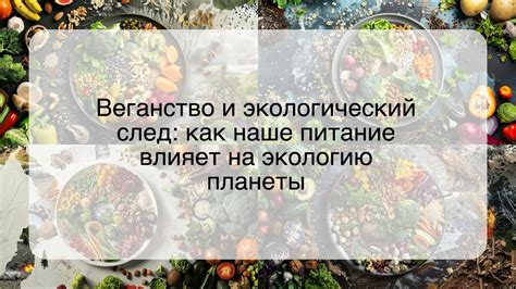 Соответствие потребностям: идеальное питание оставляет след