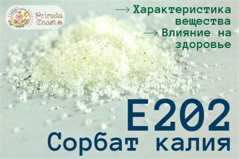 Сорбат калия и его основные характеристики