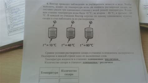 Сорт яблок и скорость засушивания