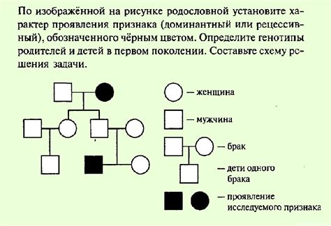 Составление официальной родословной