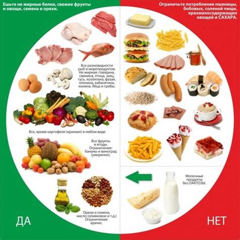 Составление рациона: как выбрать правильный корм и дозировку