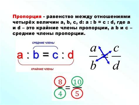 Составляющие и пропорции