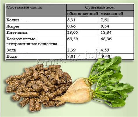 Состав и полезные свойства жома