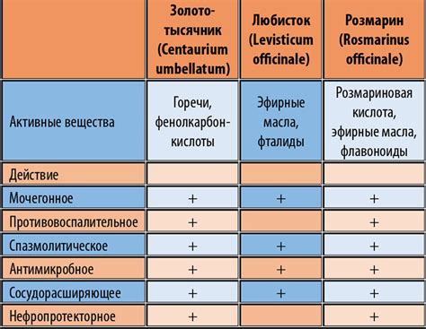 Состав и принцип действия Канефрона