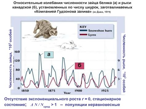 Состояние популяции зайца беляка