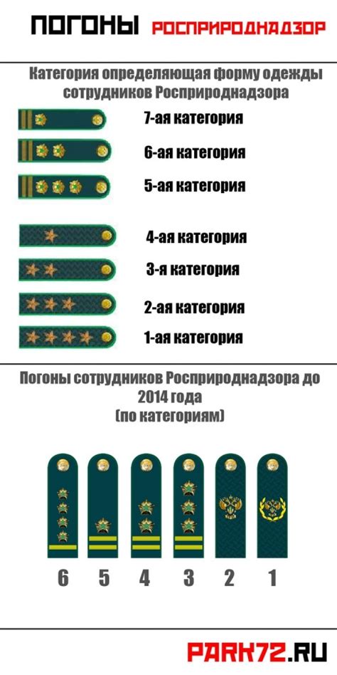 Сотрудники ЦБ РФ и государственная служба: связь или различия?