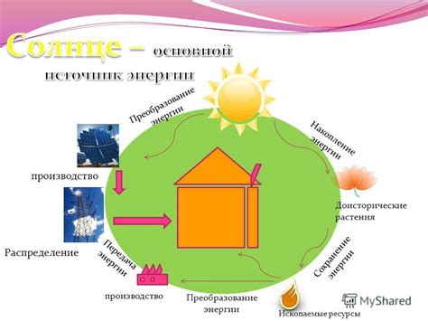 Сохранение энергии растения на весну