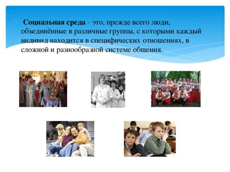 Социальная среда, генетика и наши выборы: что определяет наши судьбы?