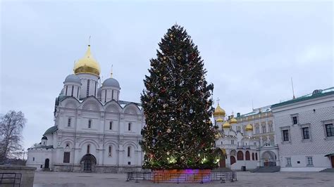 Сочетает ли елки в октябре: посоветовать и возможные результаты