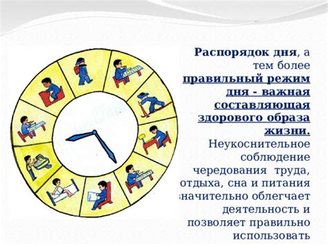 Спать днем: важная составляющая здорового образа жизни