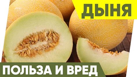 Способы использования семечек дыни для кур