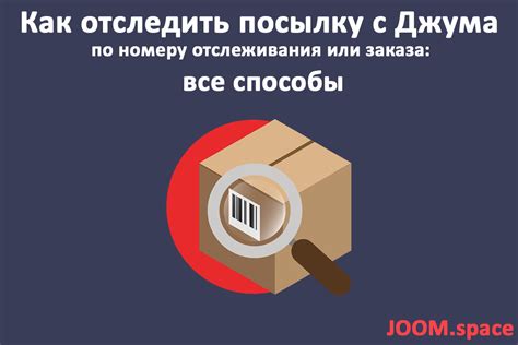 Способы отслеживания посылки по номеру