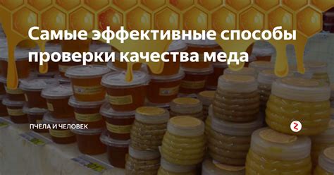 Способы проверки меда на наличие рапсовых примесей