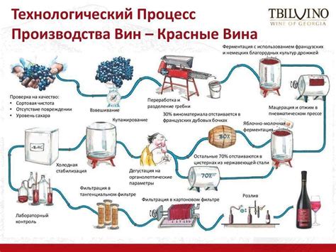 Способы фильтрации и разлива вина