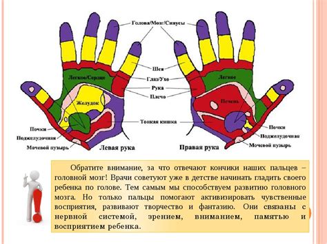 Способ 1: Массаж рук с использованием масел