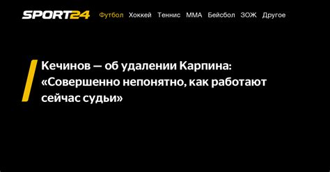 Справедливость решения судьи об удалении тренера