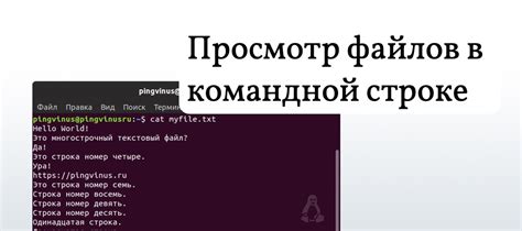 Средства навигации и поиска файлов в командной строке