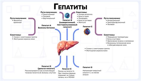 Сроки восстановления после желтухи