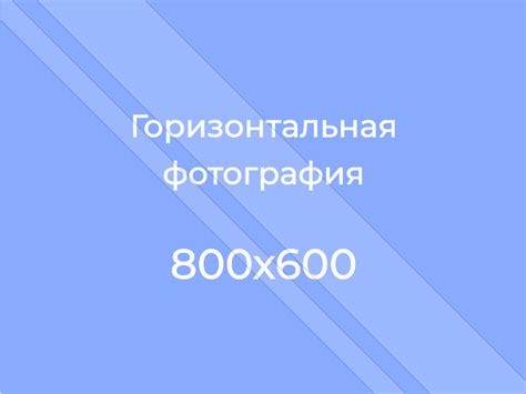 Сроки и условия обучения после перевода