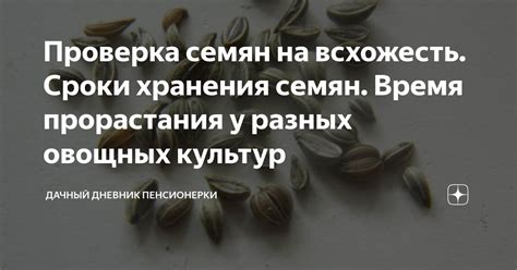 Сроки хранения на кладовке