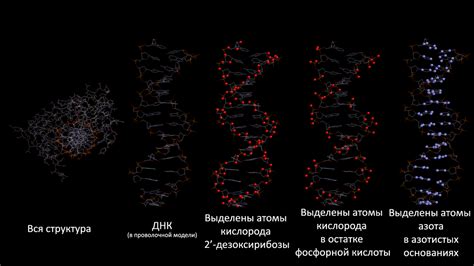 Стадия 3: Отделение ДНК от компонентов волоса