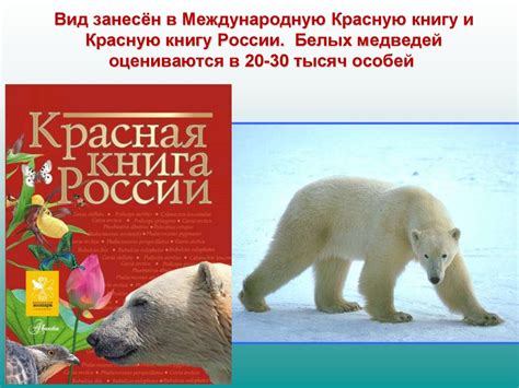 Статус белых медведей в красной книге