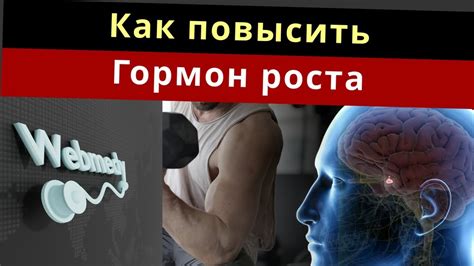 Стиль питания и влияние на уровень гормона роста